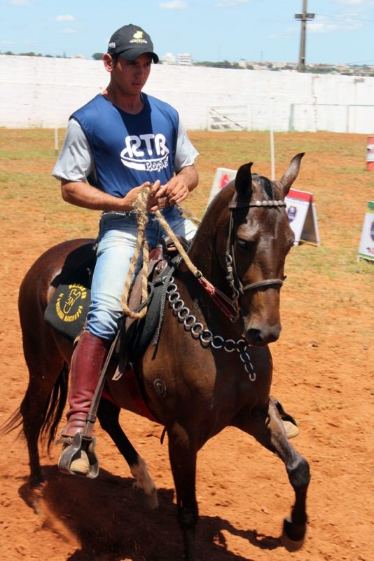 Como desenhar um Cavalo Manga Larga Machador 