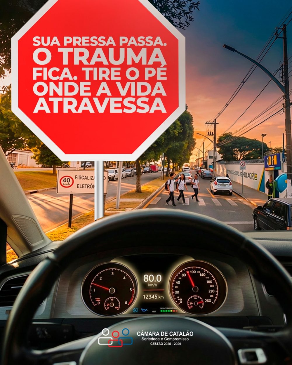 Câmara Municipal de Catalão